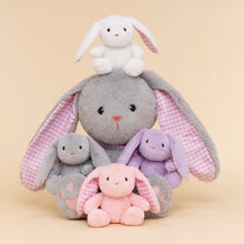 Load image into Gallery viewer, iFrodoll Stuffed Animals with Babies Inside Plush Playset Stuffed Animals Gift Set